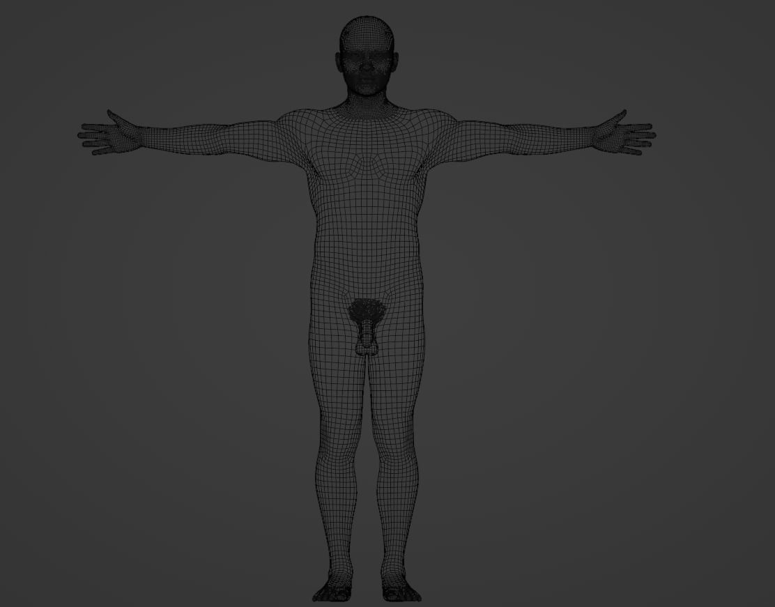 Complete Male human 3D Anatomy 3D model_43
