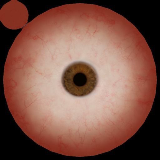 Complete Male human 3D Anatomy 3D model_60