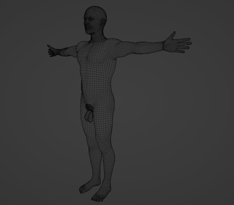 Complete Male human 3D Anatomy 3D model_59