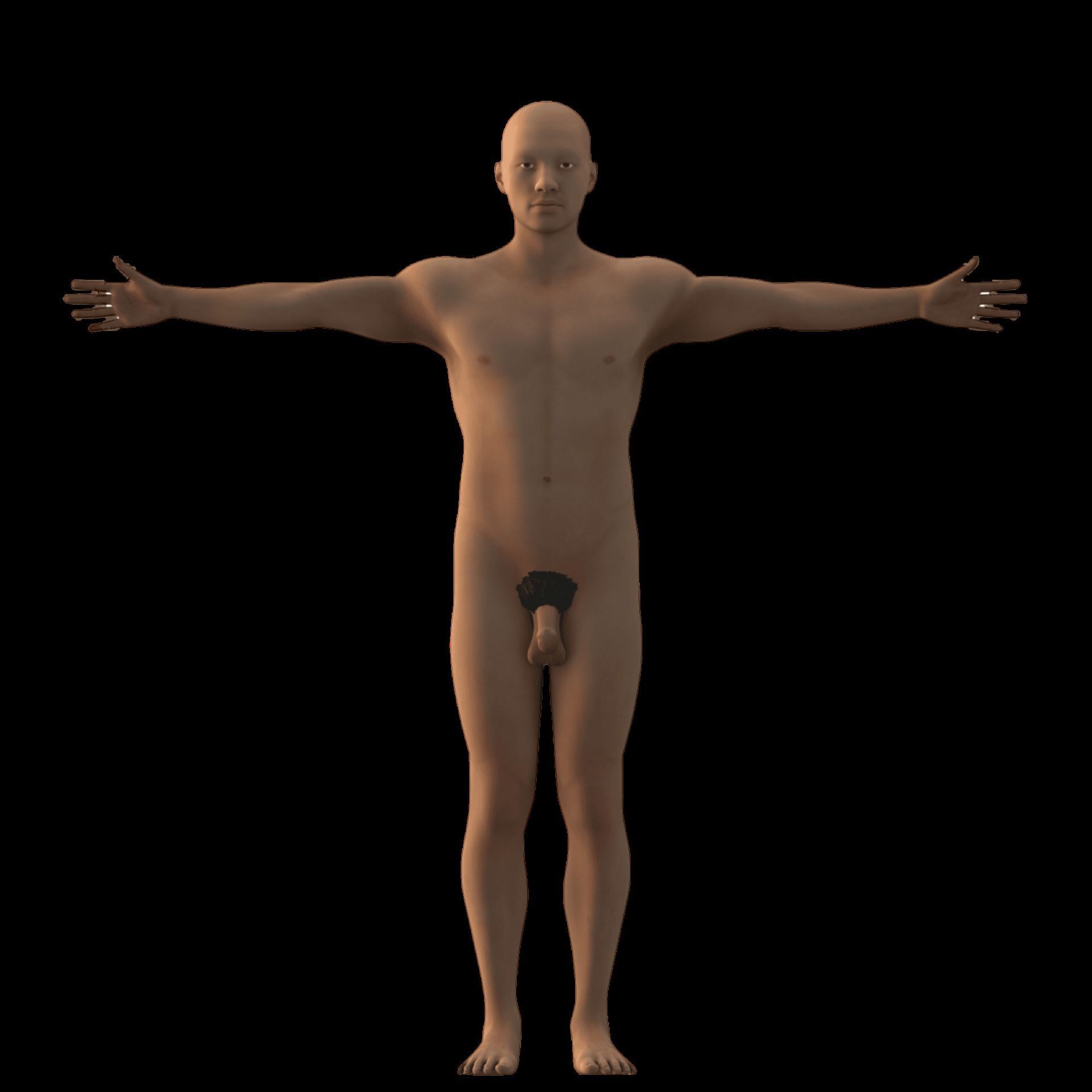 Complete Male human 3D Anatomy 3D model_39
