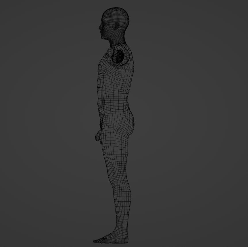 Complete Male human 3D Anatomy 3D model_41