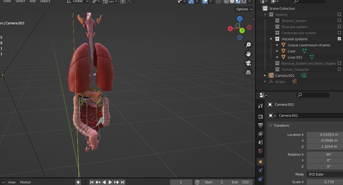 Complete Male human 3D Anatomy 3D model_19