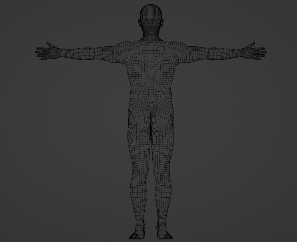 Complete Male human 3D Anatomy 3D model_57