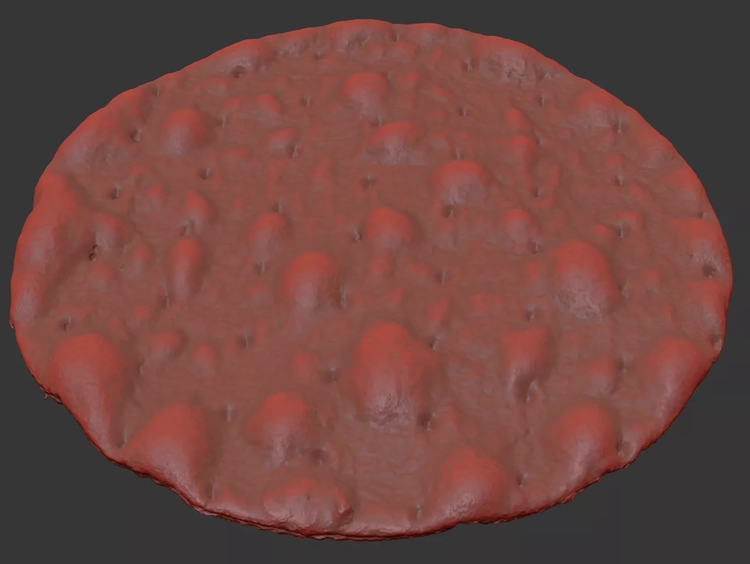 Crispbread 3D model_7