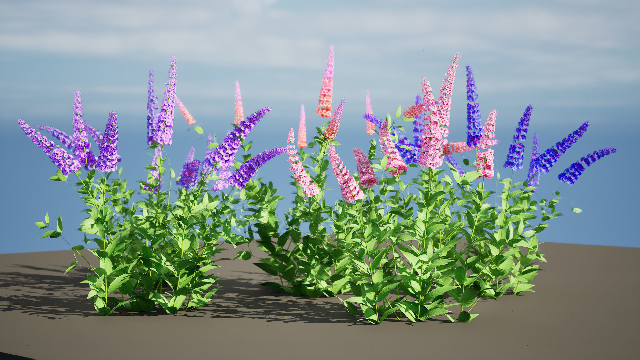 Blue Glory Bower Low-poly 3D model_3