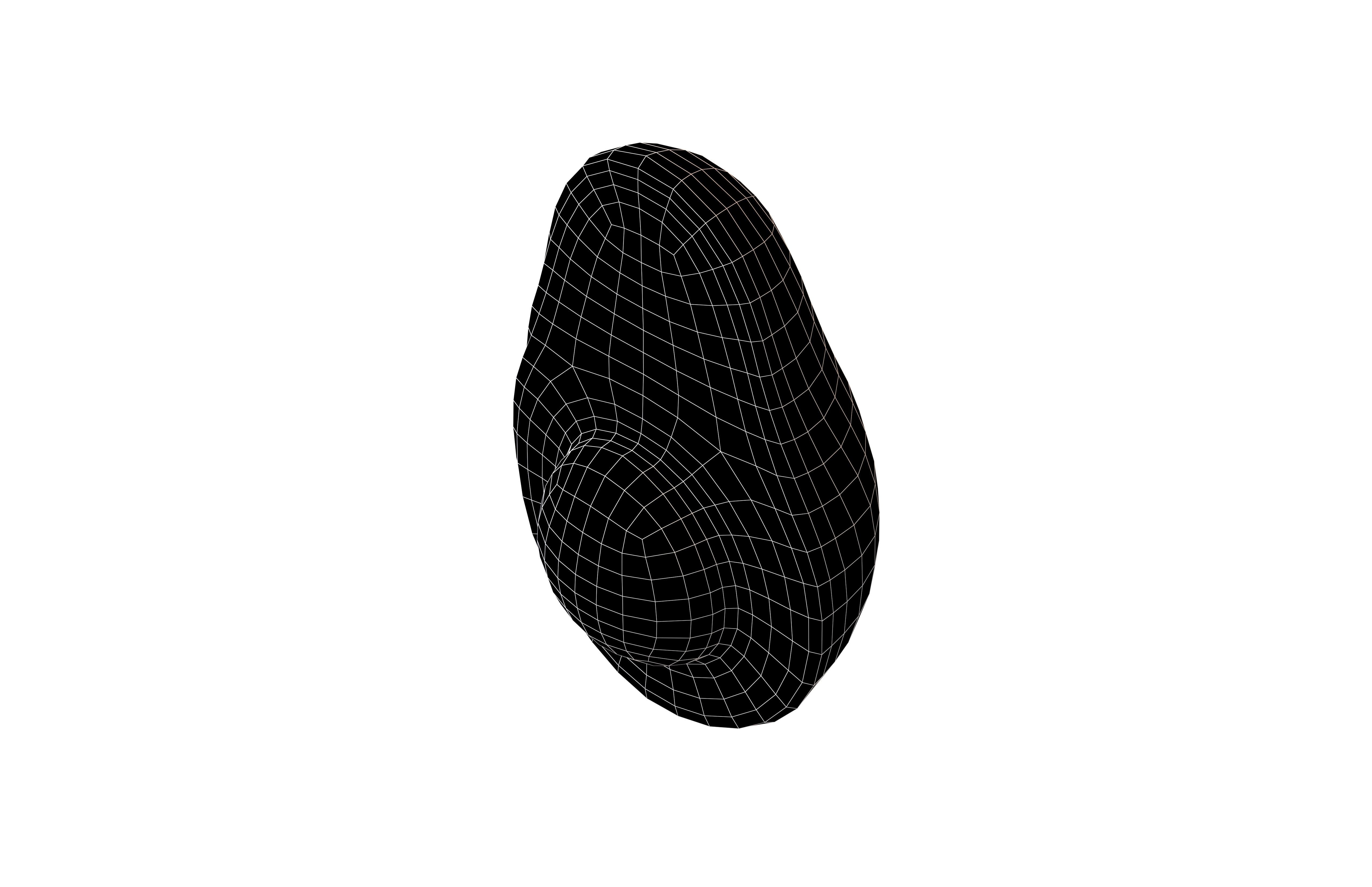 Avocado v1 001 Low-poly 3D model_5