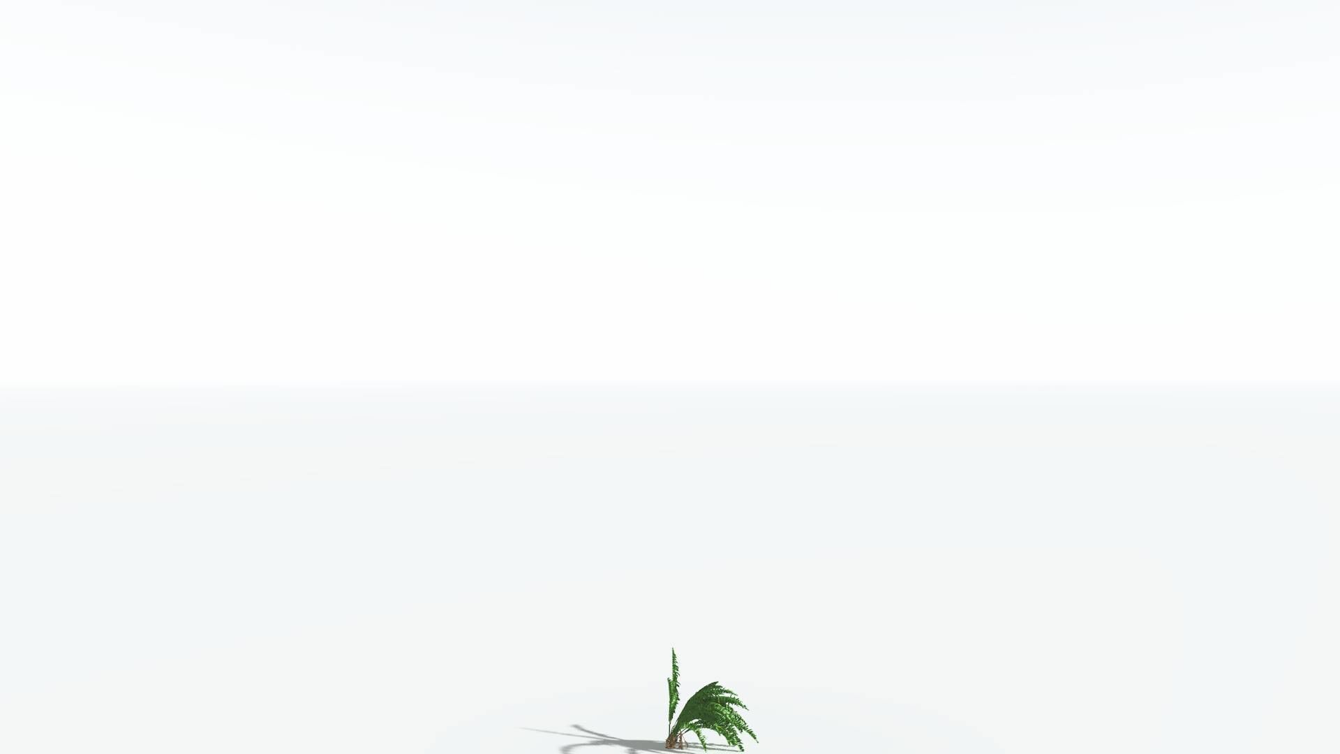 EVERYPlant African Oil Palm 1 --16 Models-- 3D model_22