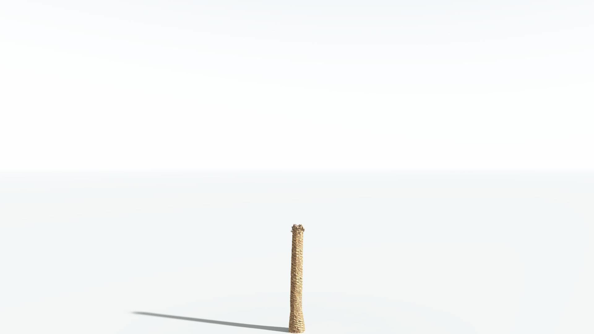 EVERYPlant African Oil Palm 1 --16 Models-- 3D model_12