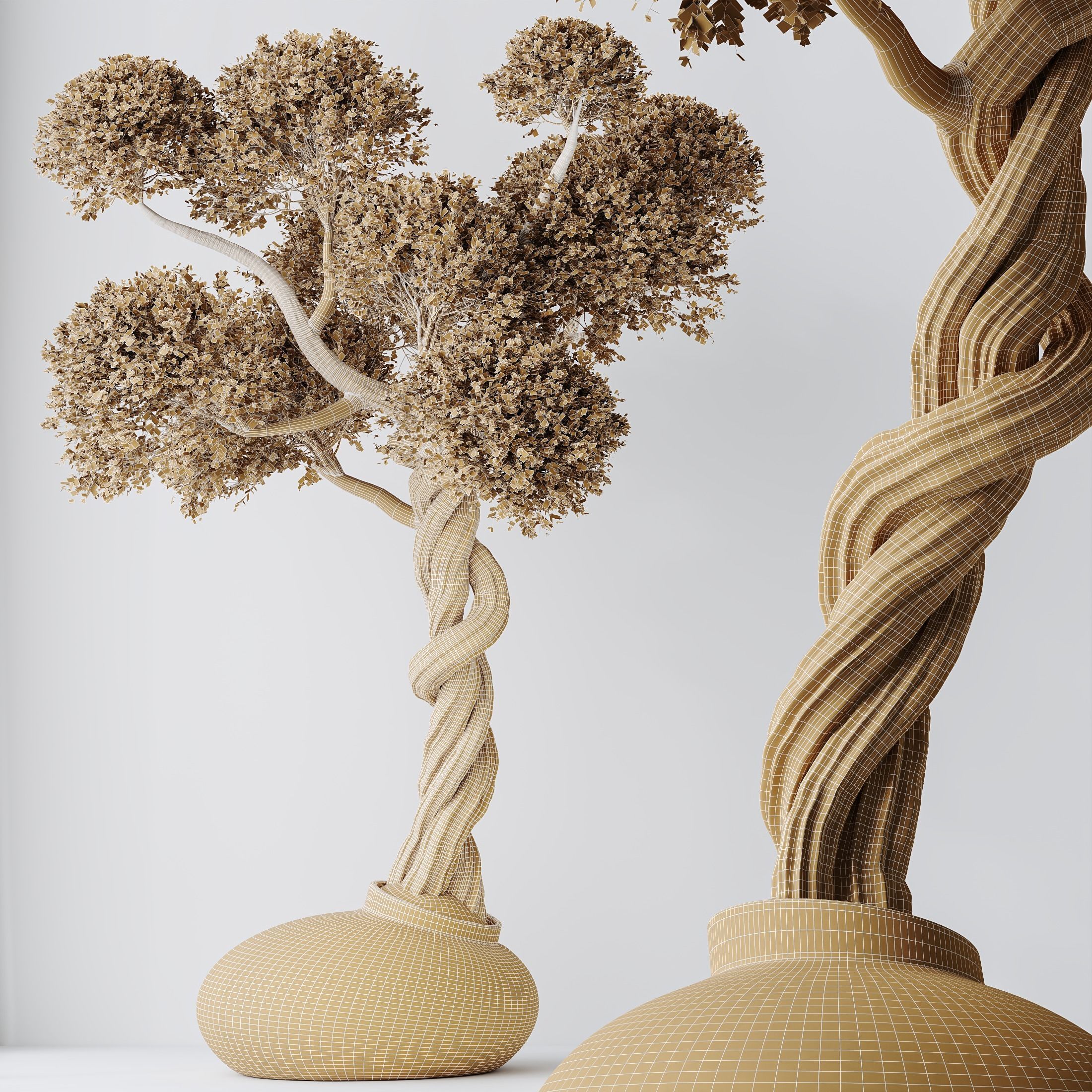 HQ HousePlants Ficus Retusa Microcarpa Bonsai Ginseng05 3D model_2