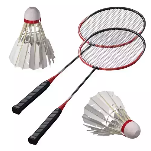 Set for playing badminton racket and shuttlecock 3D model