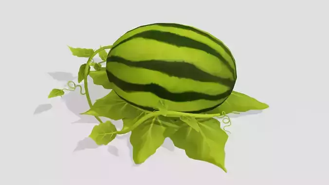 Watermelon - Hand Painted 3D model