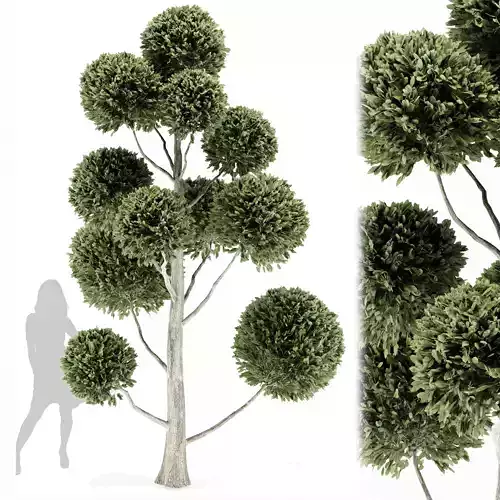 Topibary all tree-vol-01