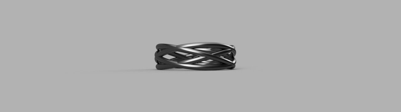 Ring braided 3D print model_1