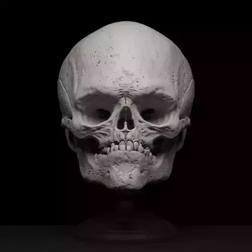 Goblin Skull
