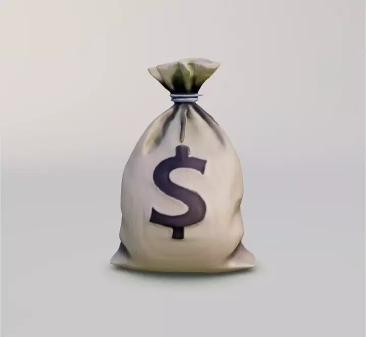 Bag Money 3D model_0