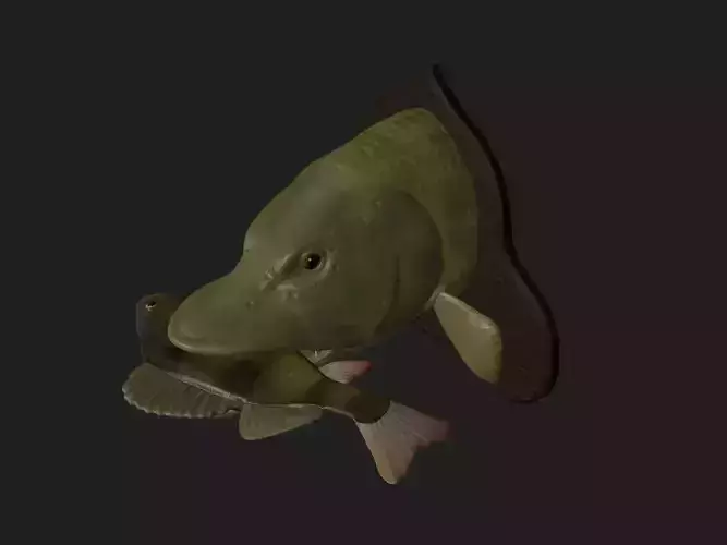 PIKE EAT PERCH DETAILED TEXTURE TROPHY TAXIDERMY FOR 3D PRINTING