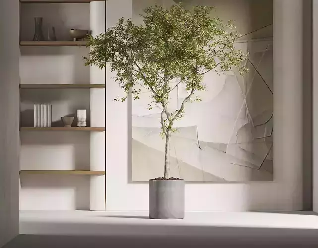 Potting decoration model monomer Plant