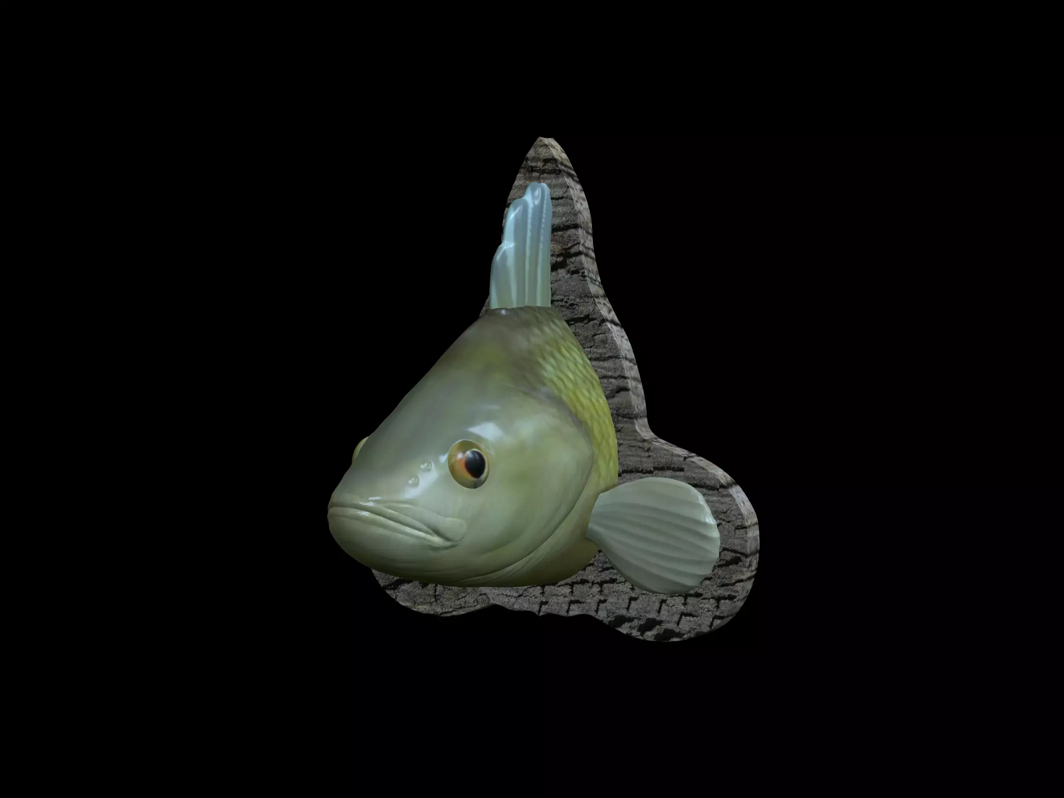 PERCH DETAILED TEXTURE TROPHY TAXIDERMY FOR 3D PRINTING 3D print model