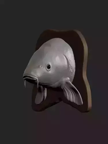 CARP DETAILED TEXTURE TROPHY TAXIDERMY FOR 3D PRINTING Free 3D print model