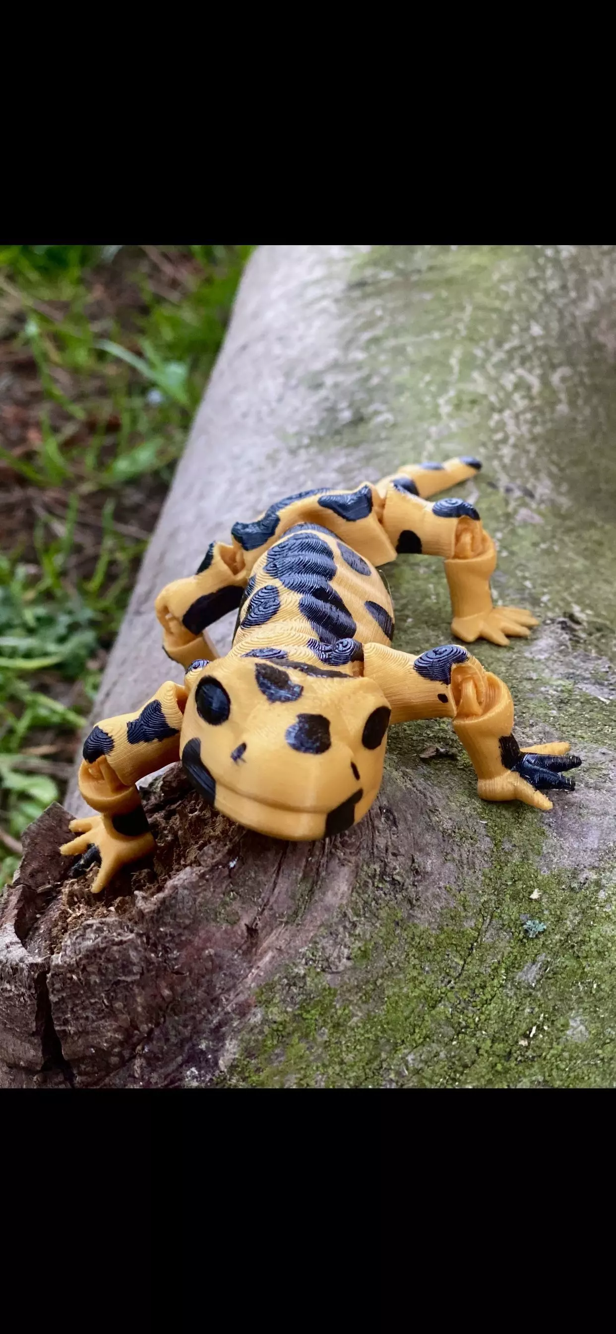 Flexi salamander fantasy print in place animal Free 3D print model