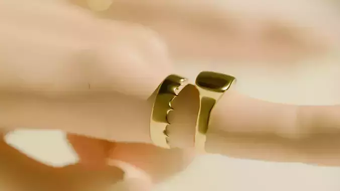 SIMPLE RINGS COLLECTION 3D print model