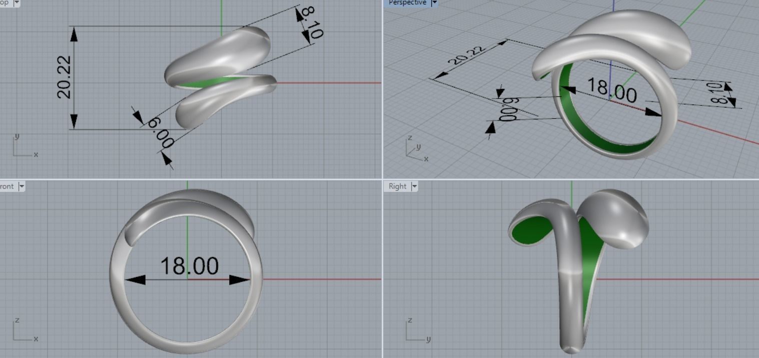 beautiful ring 3D print model_7