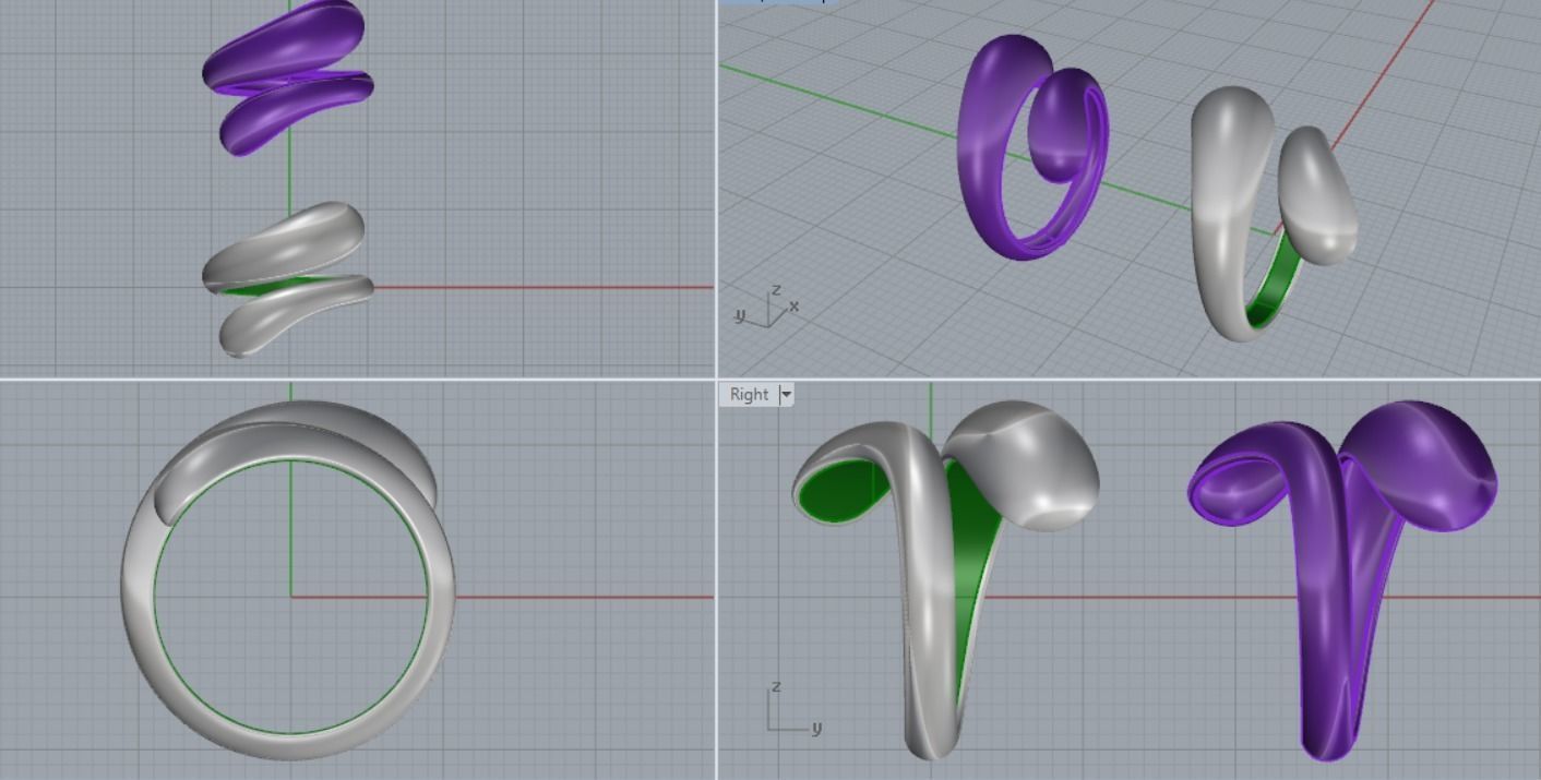 beautiful ring 3D print model_14