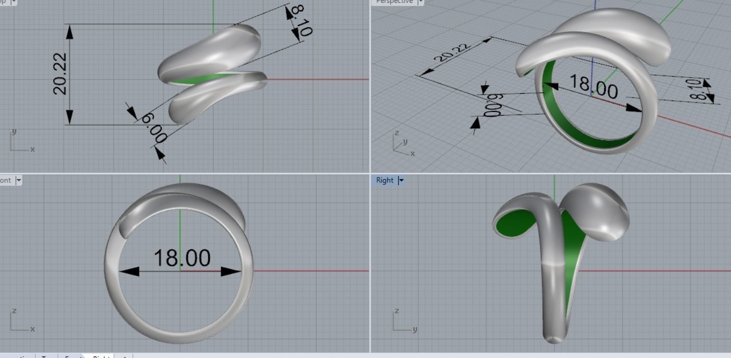 beautiful ring 3D print model_8