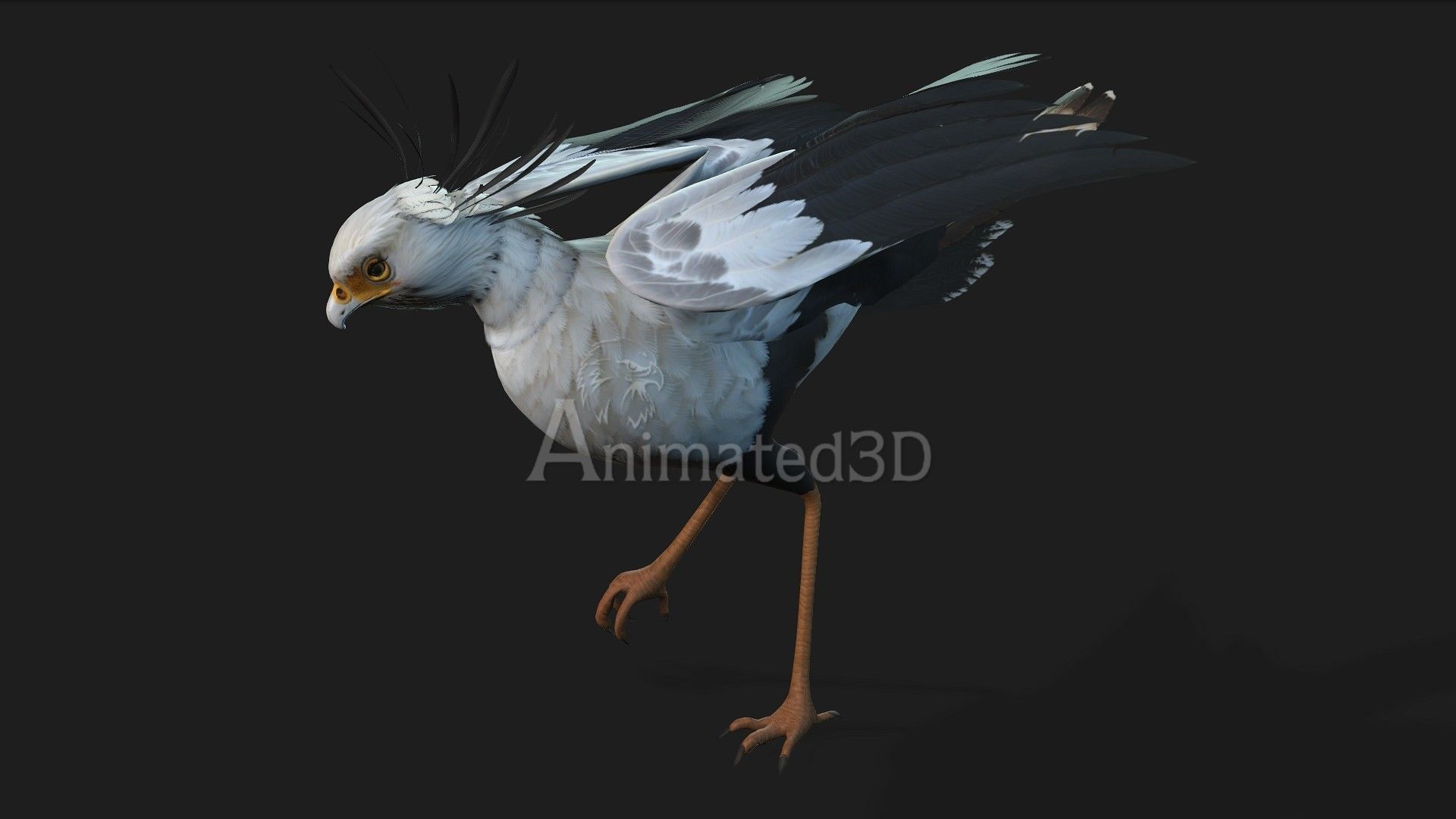 SecretaryBird A1 3D model_13