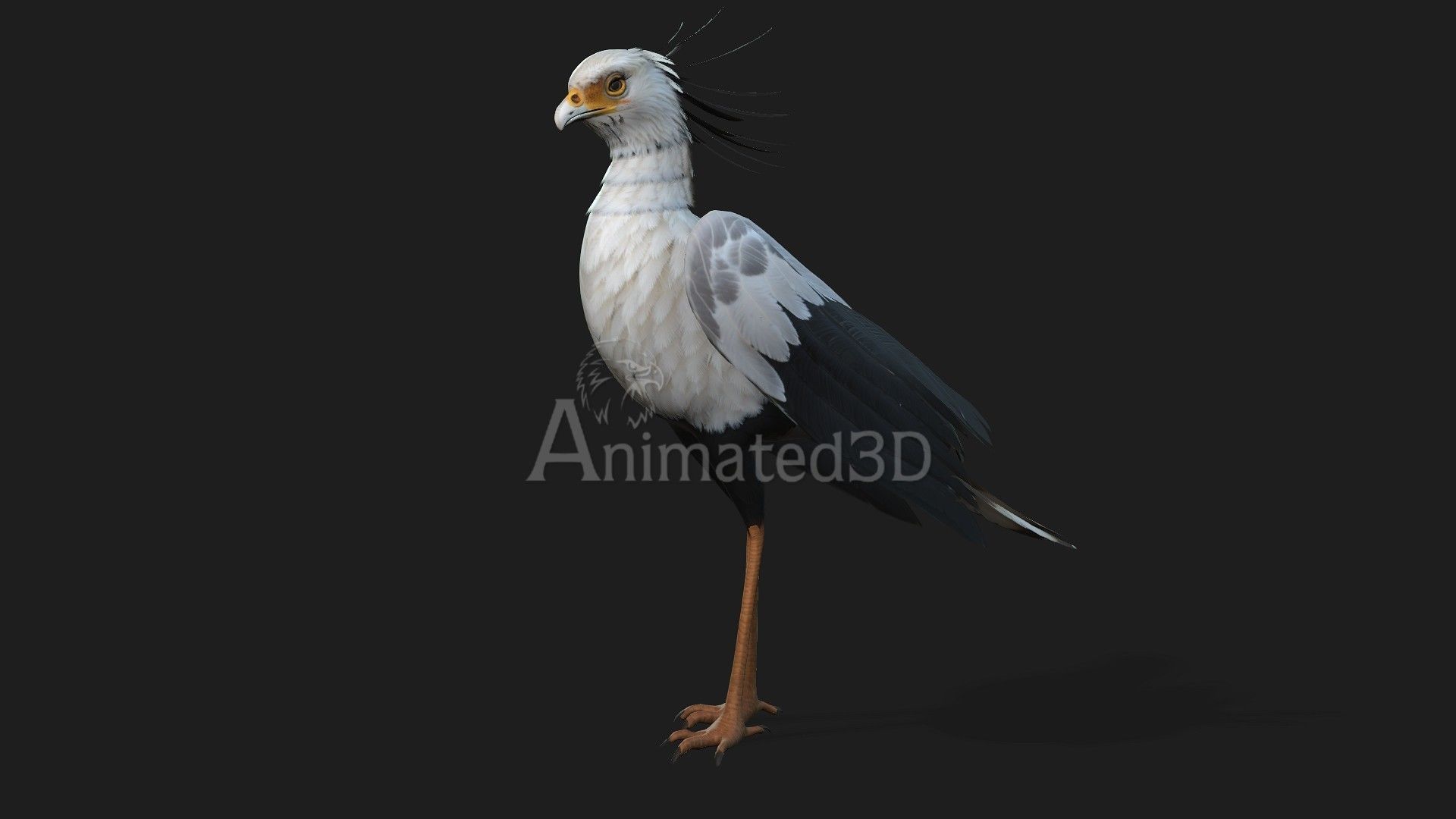 SecretaryBird A1 3D model_2