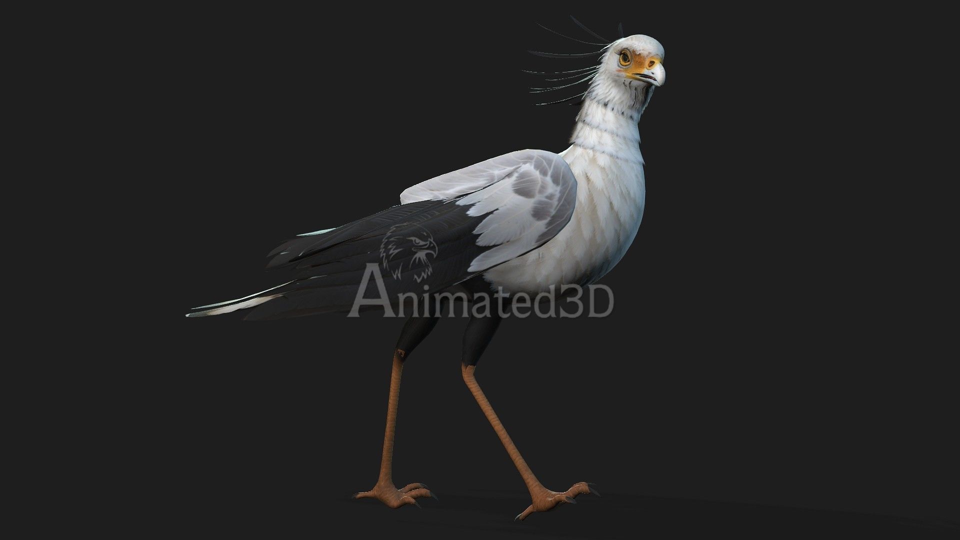 SecretaryBird A1 3D model_4