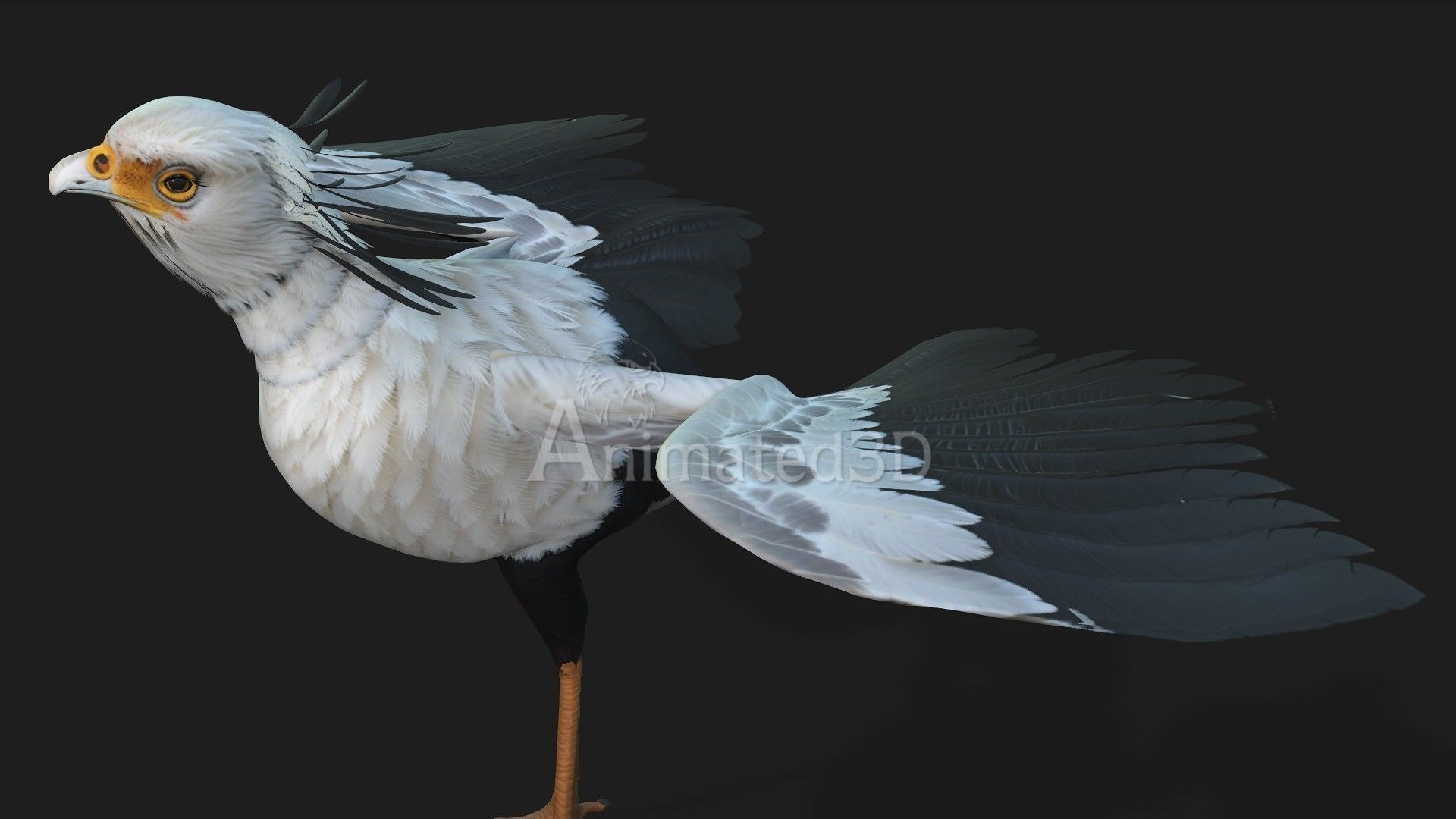 SecretaryBird A1 3D model_10