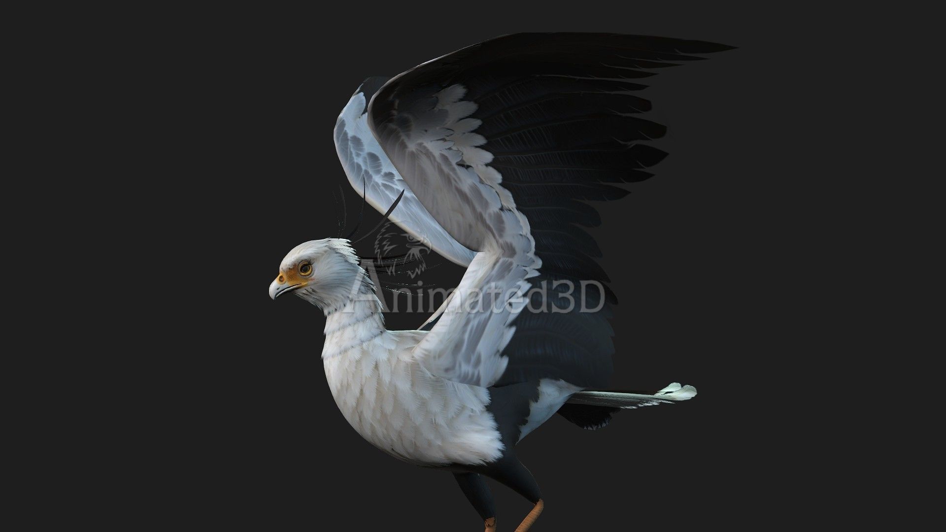 SecretaryBird A1 3D model_3