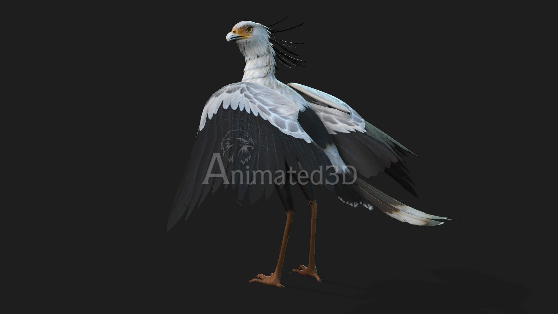 SecretaryBird A1 3D model_12