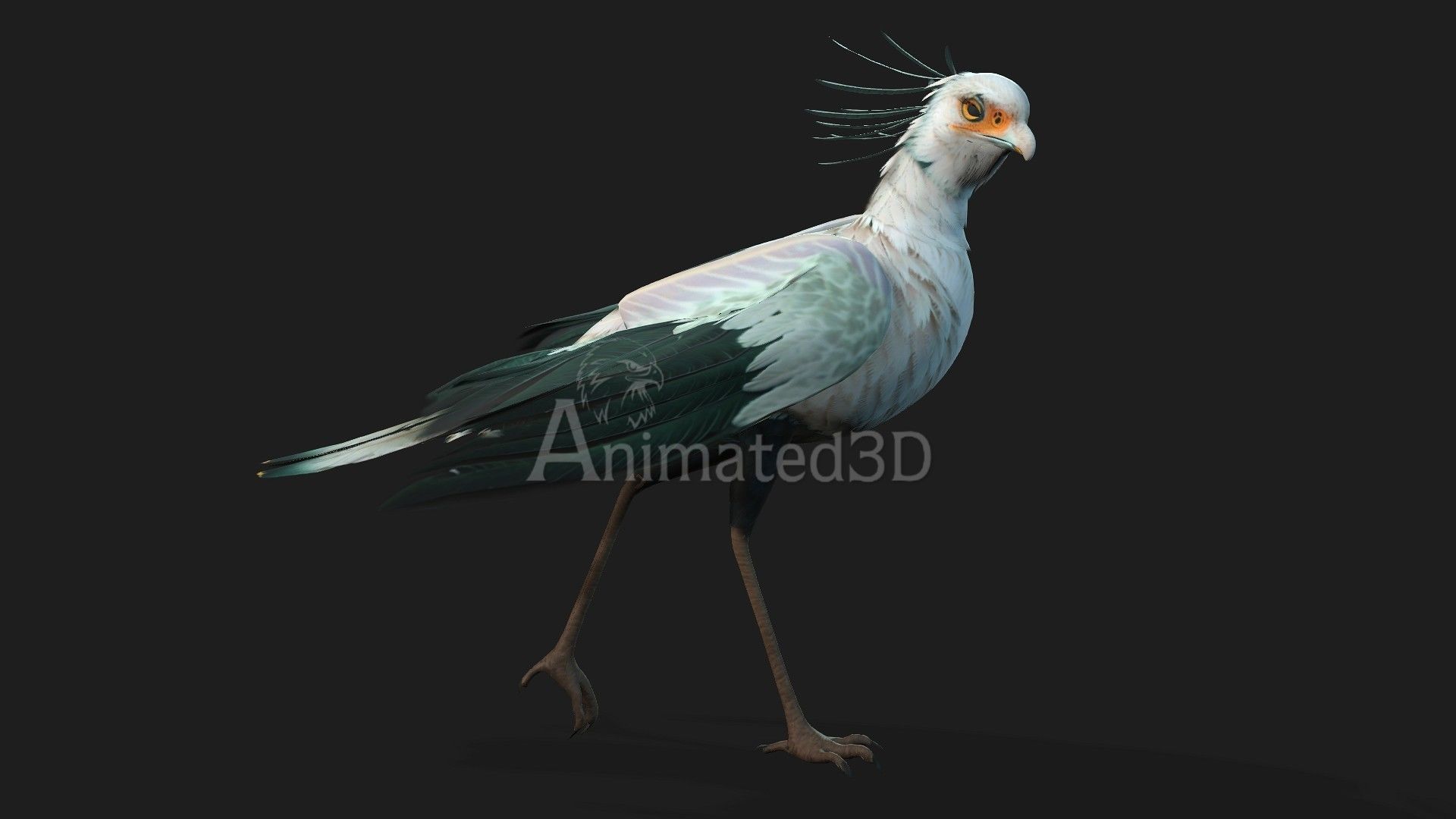 SecretaryBird A2 3D model_5