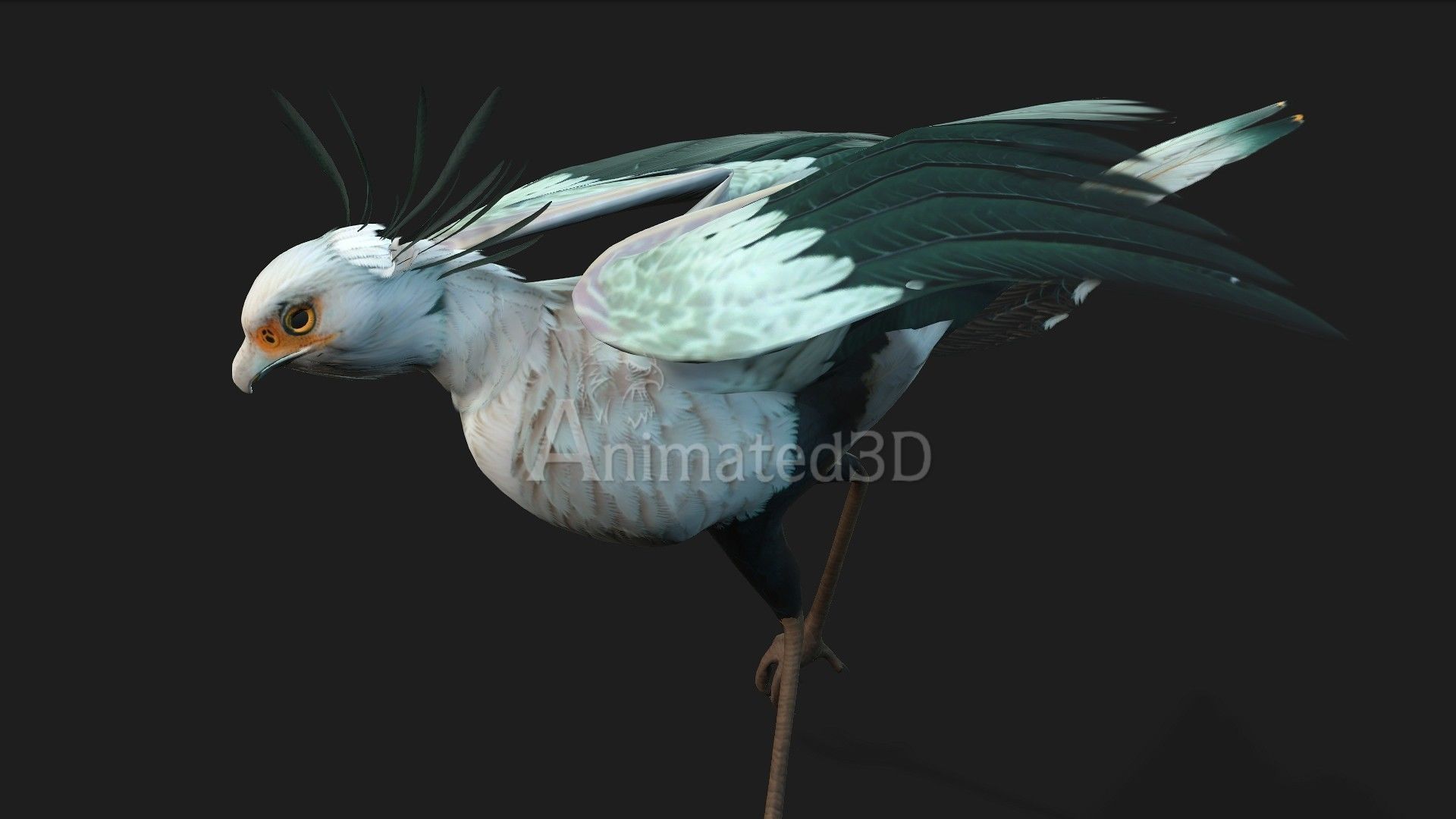 SecretaryBird A2 3D model_13