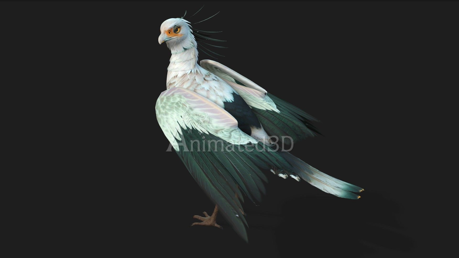 SecretaryBird A2 3D model_11