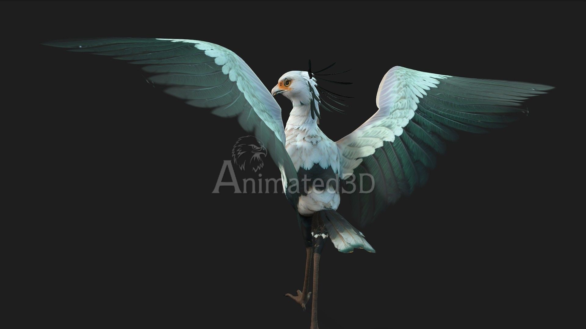 SecretaryBird A2 3D model_4