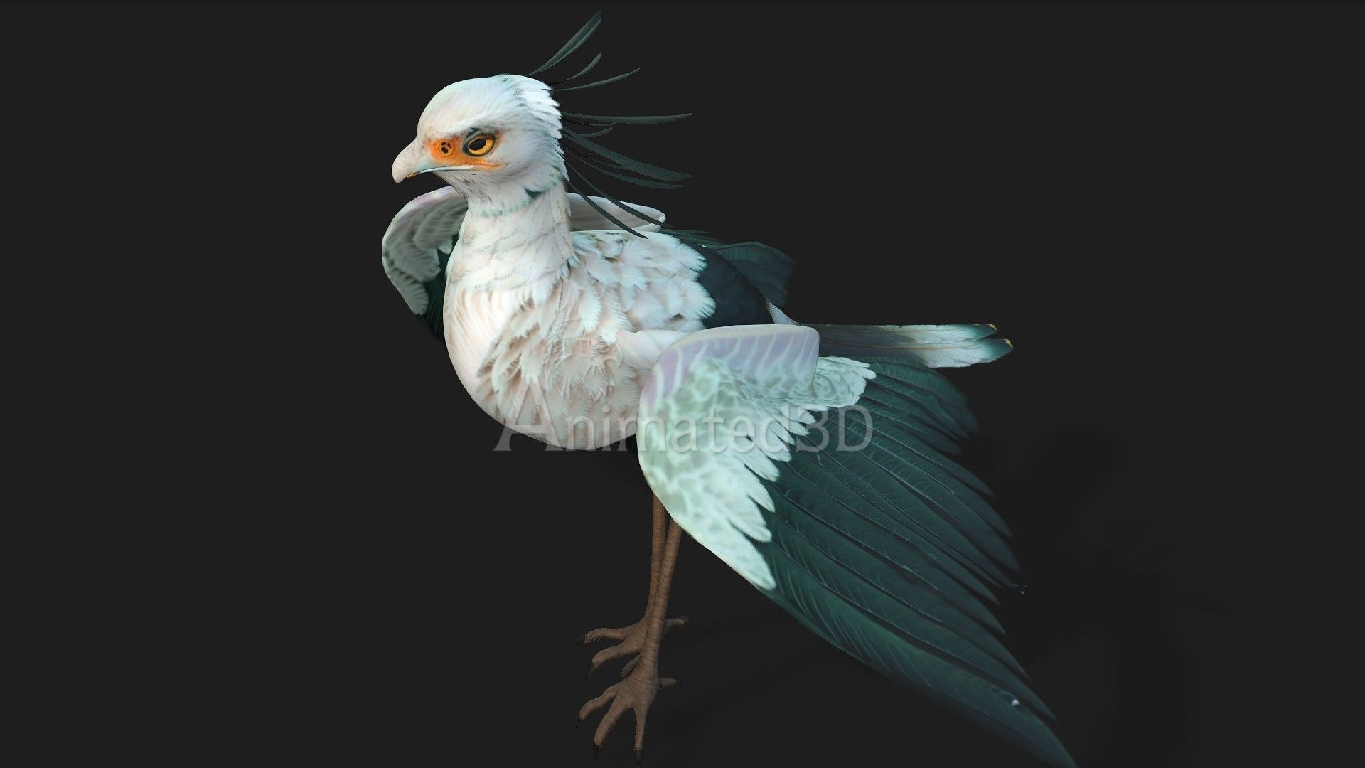 SecretaryBird A2 3D model_10