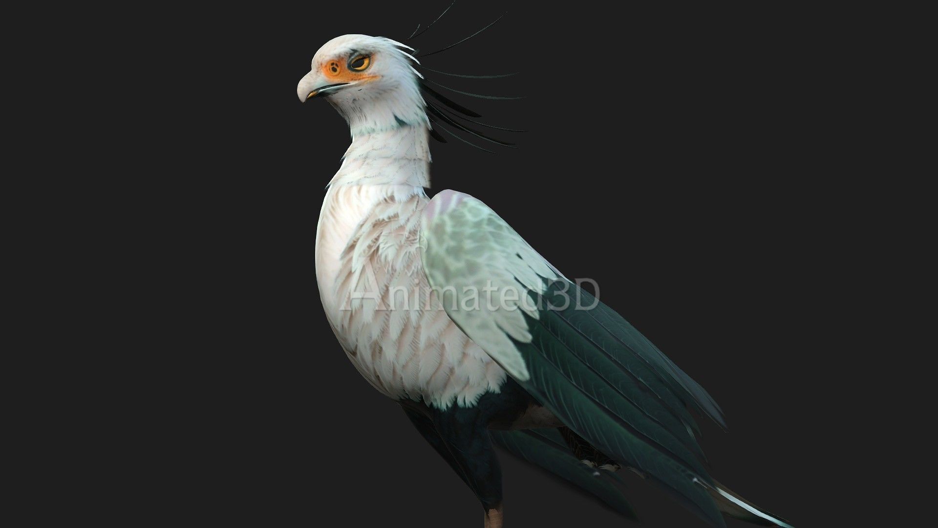 SecretaryBird A2 3D model_6