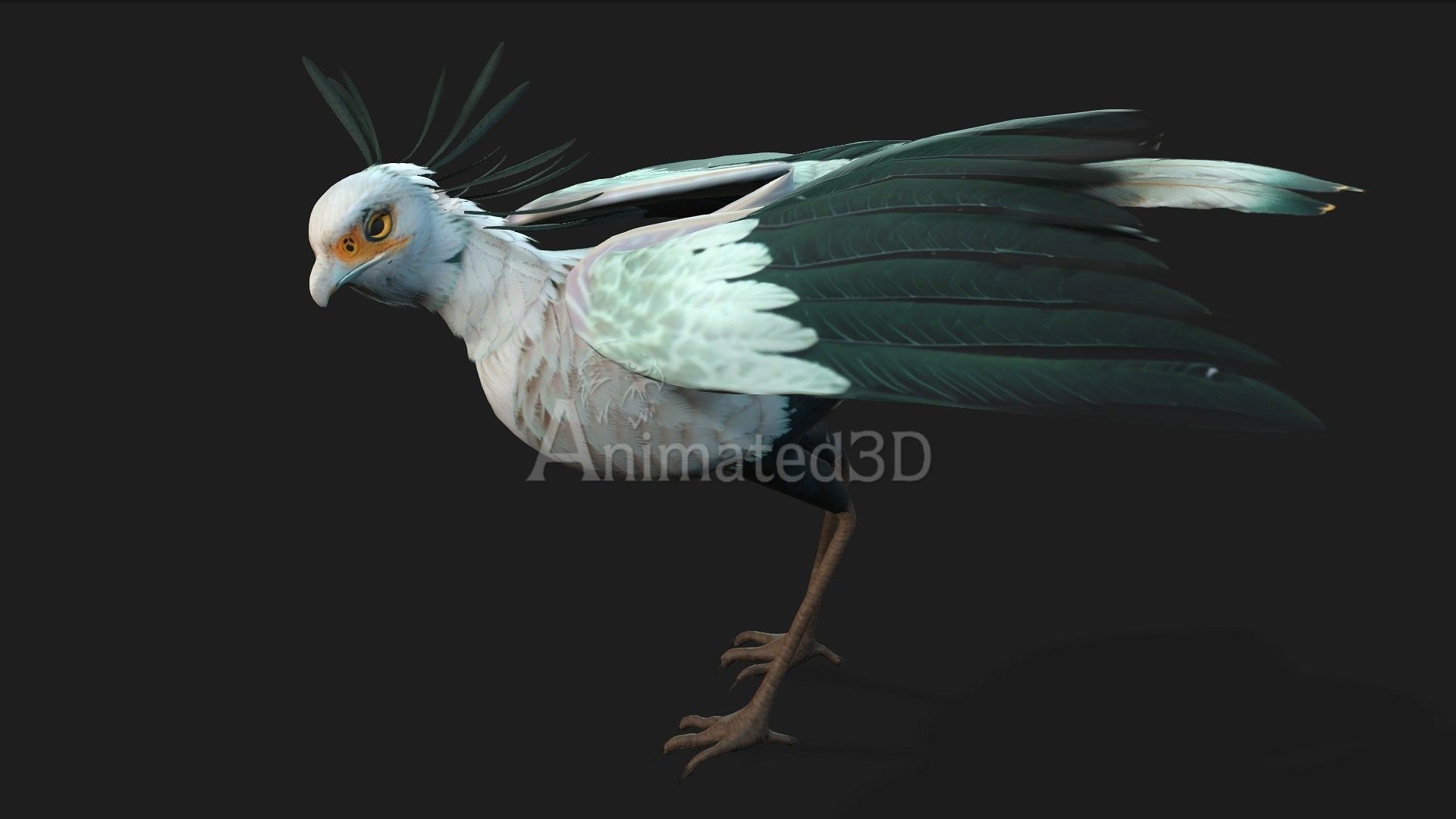 SecretaryBird A2 3D model_12