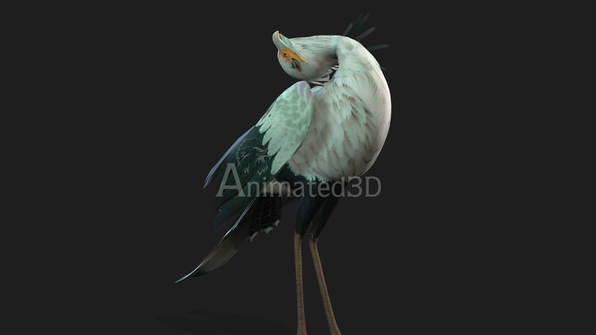 SecretaryBird A2 3D model_8
