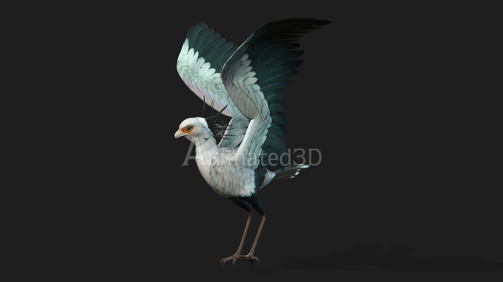 SecretaryBird A2 3D model_3
