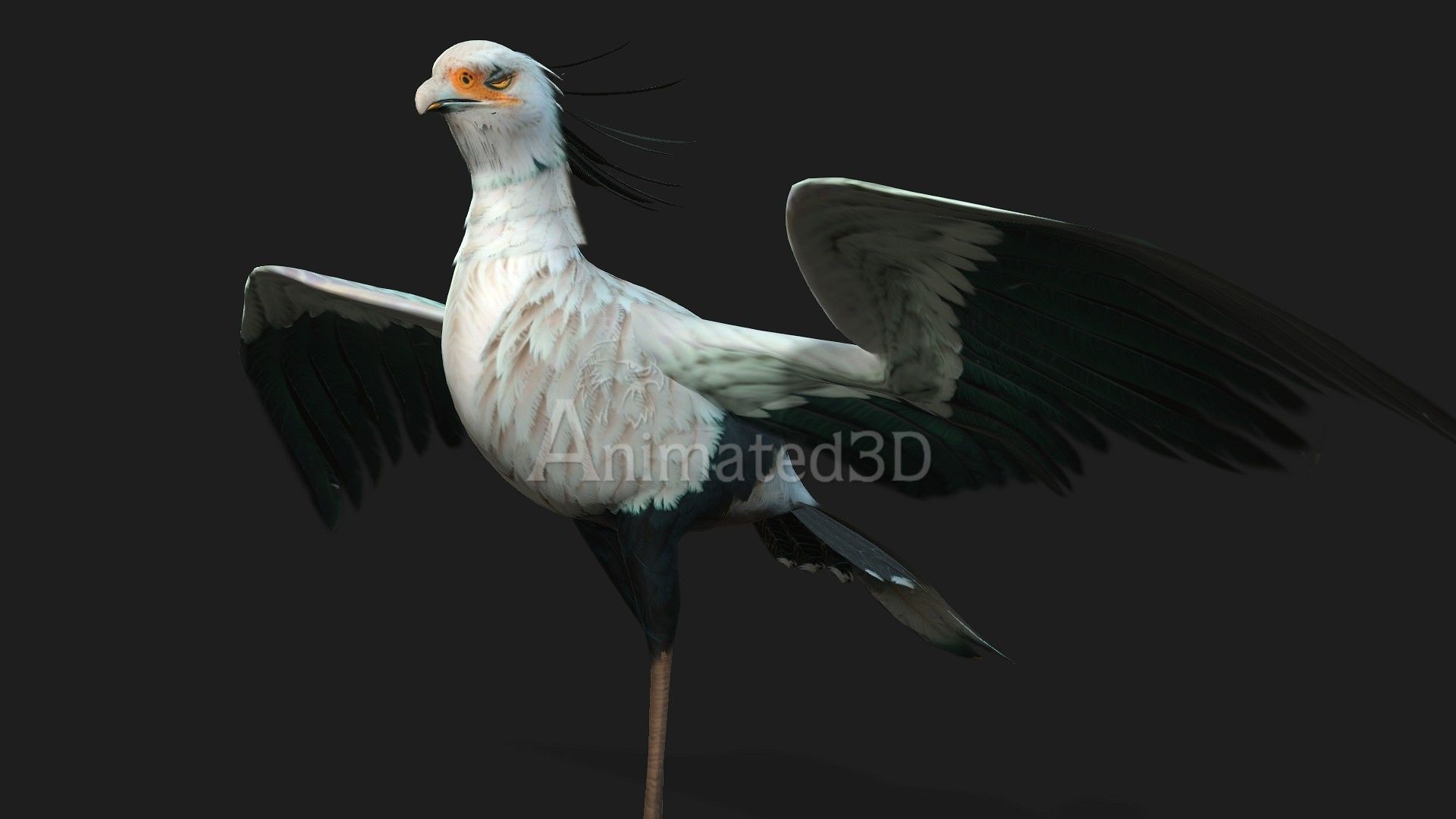 SecretaryBird A2 3D model_9