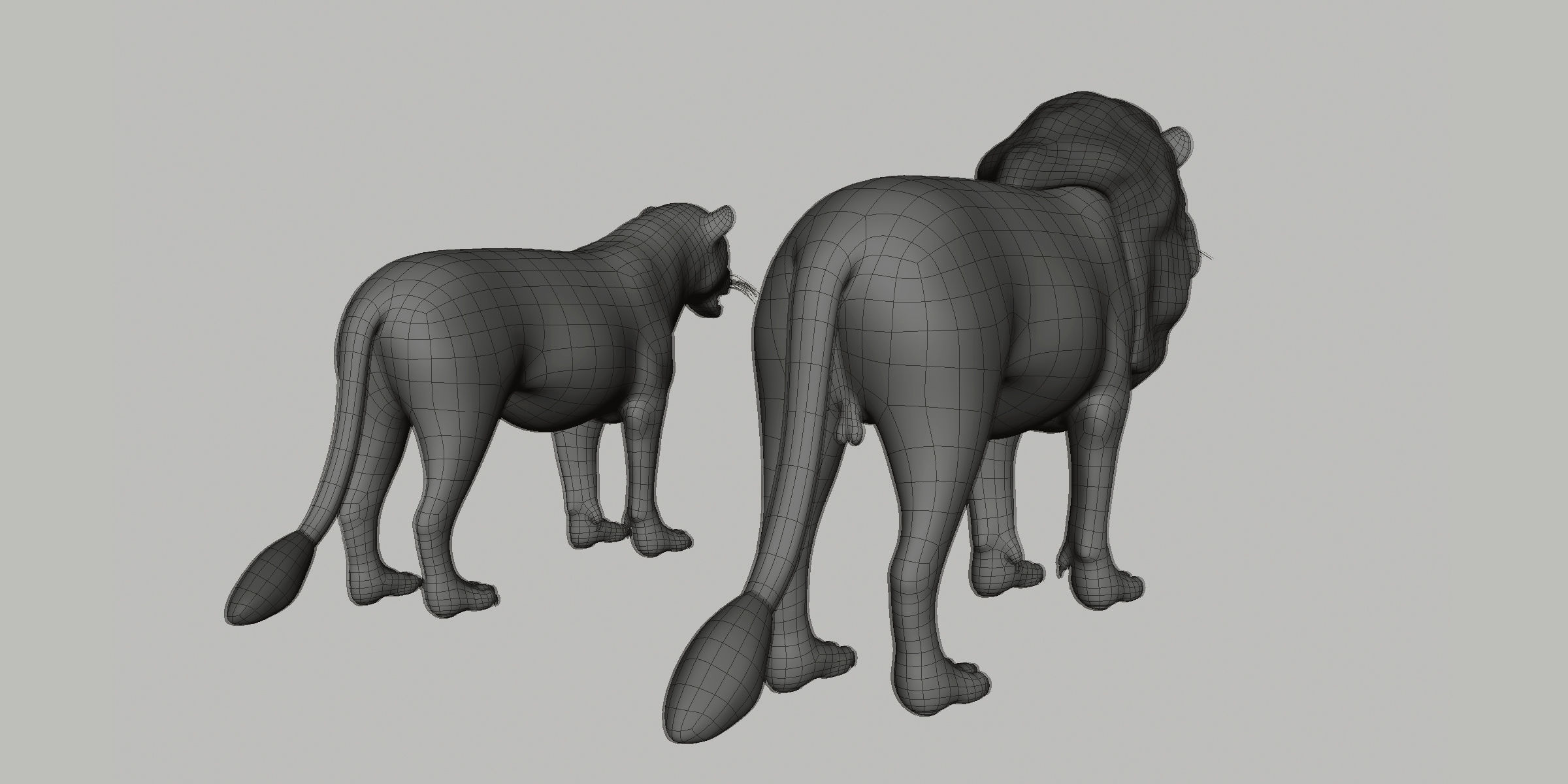 Lion Couple Low-poly 3D model_6