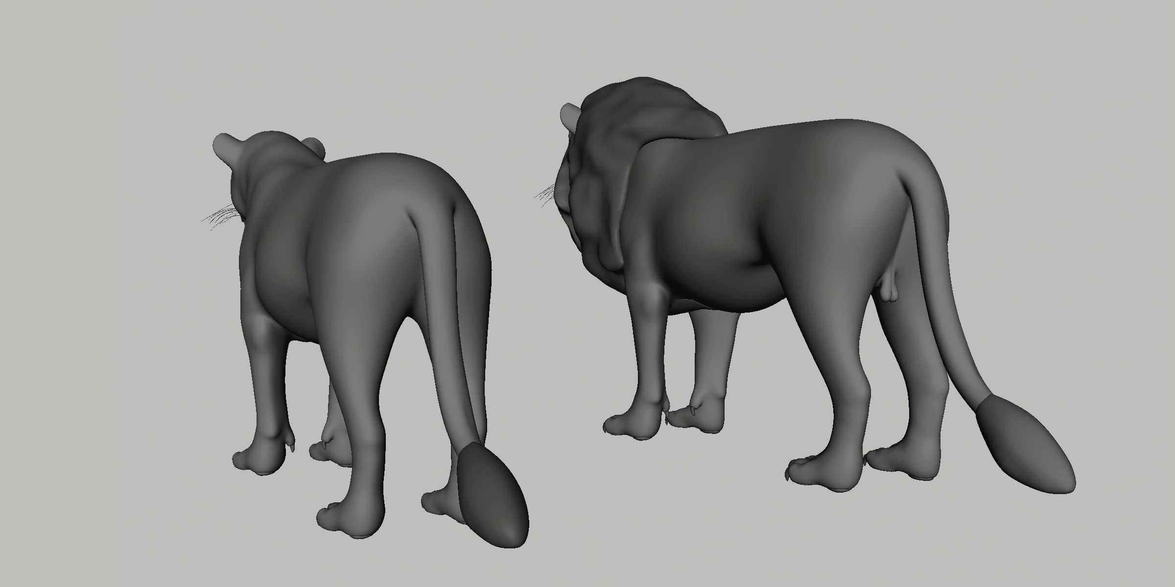 Lion Couple Low-poly 3D model_7