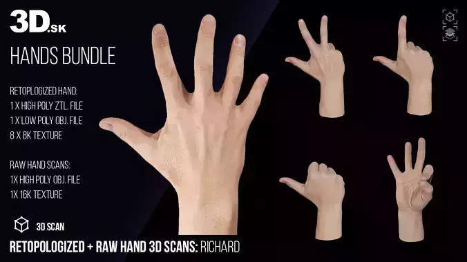 Retopologized and Raw Hand 3D Scans Set Richard
