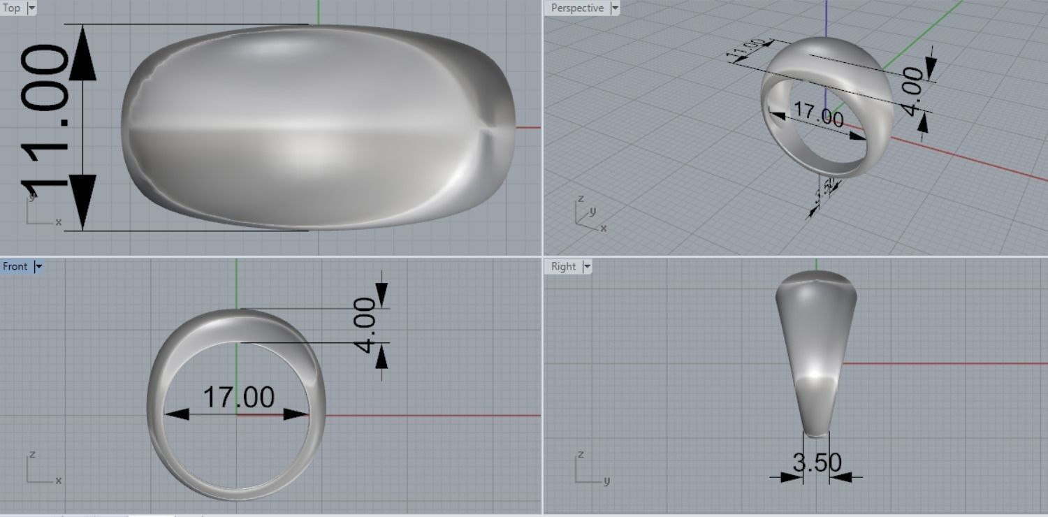 female ring 3D print model_13