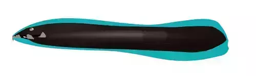 eel fish Free 3D print model