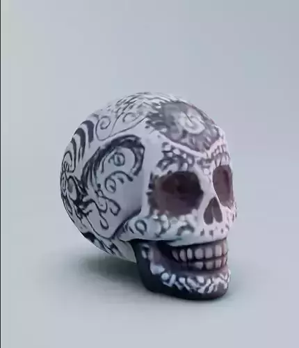3D Skull